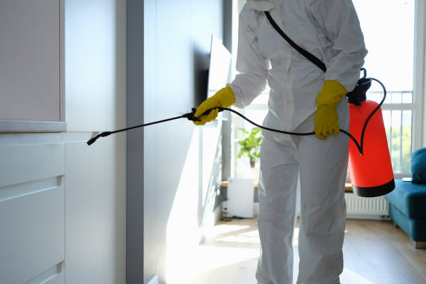 Best Emergency Mold Remediation  in Storrs, CT